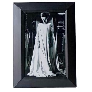 Bride of frankenstein Vintage Horror Cult Classic rockabilly punk metal horror